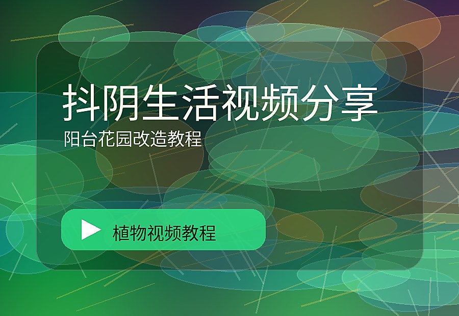 美娇花房