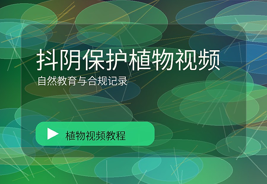 美娇花房