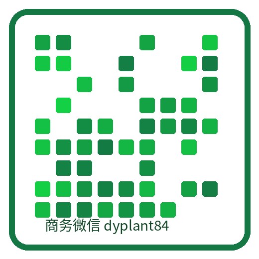 美娇花房