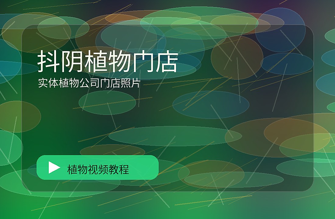 美娇花房